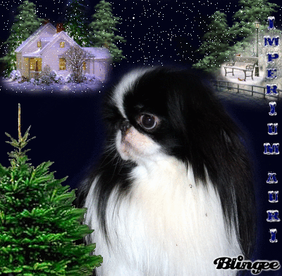 �n�b�s�[�R�X���X�C�m