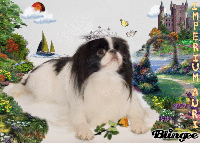�n�b�s�[�R�X���X�C�m