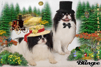 �n�b�s�[�R�X���X�C�m