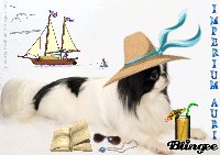 �n�b�s�[�R�X���X�C�m