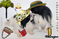 �n�b�s�[�R�X���X�C�m